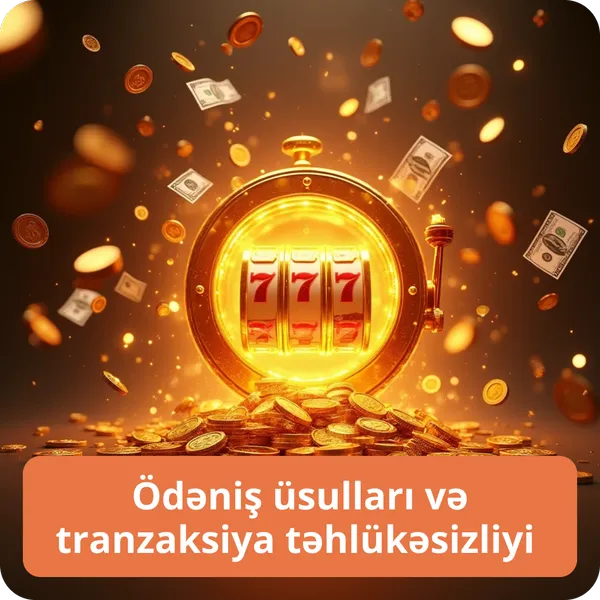 Ödəniş üsulları və tranzaksiya təhlükəsizliyi